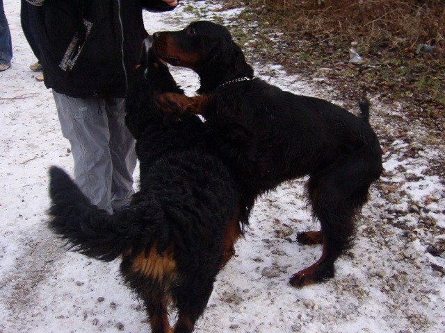 Srečanje- Kranj 23.1.2005 - foto povečava