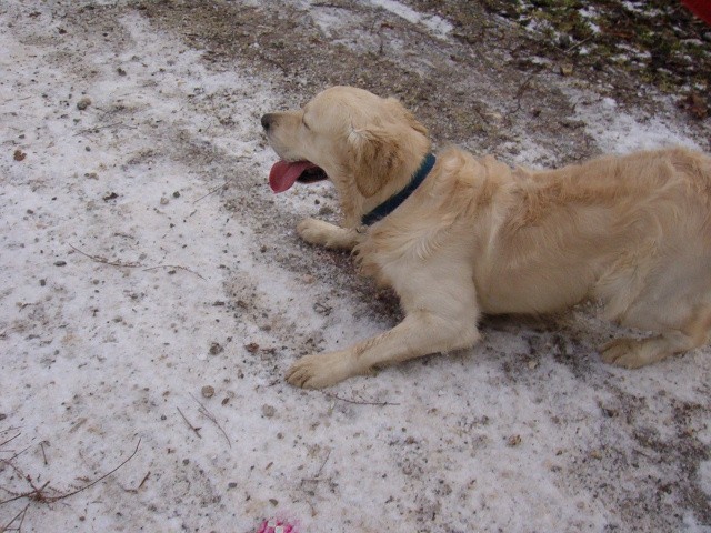 Srečanje- Kranj 23.1.2005 - foto