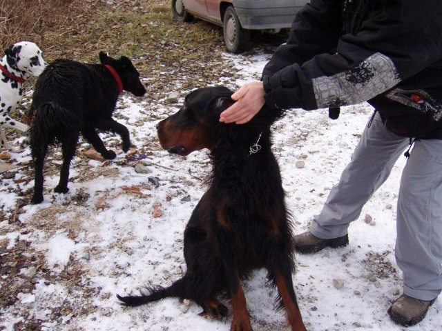 Srečanje- Kranj 23.1.2005 - foto povečava