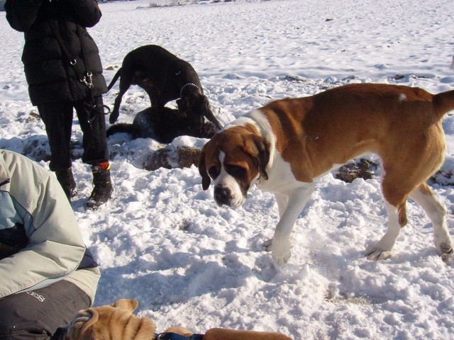 Srečanje- Kranj 6.2.2005 - foto povečava