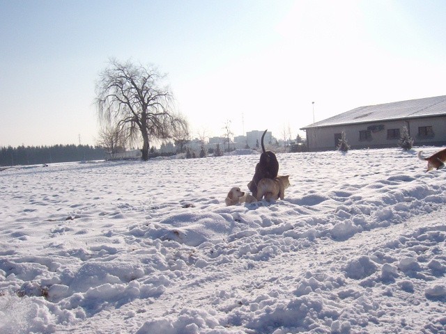 Srečanje- Kranj 6.2.2005 - foto