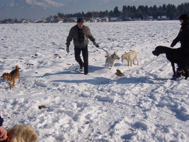 Srečanje- Kranj 6.2.2005 - foto