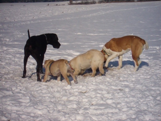 Srečanje- Kranj 6.2.2005 - foto povečava