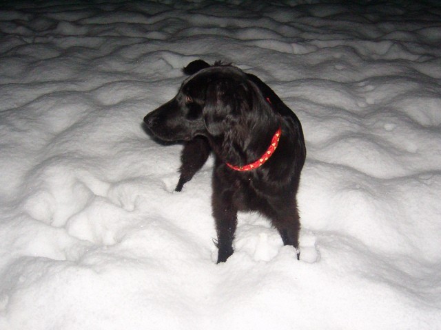 Zima 2005 - foto