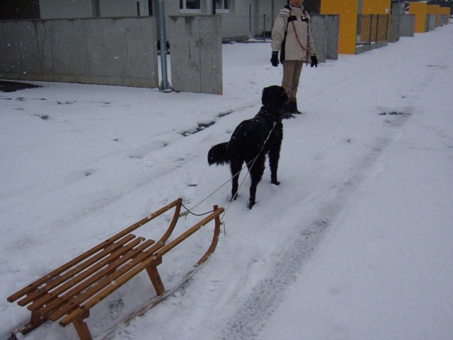 Zima 2005-2006 - foto