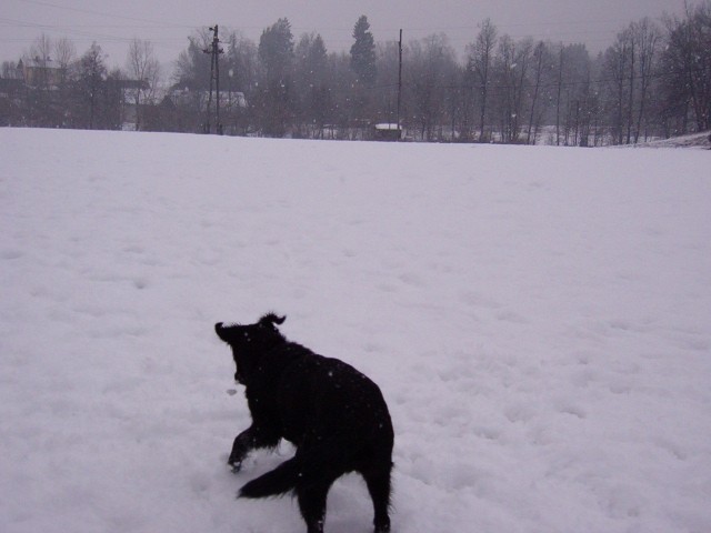Zima 2005-2006 - foto