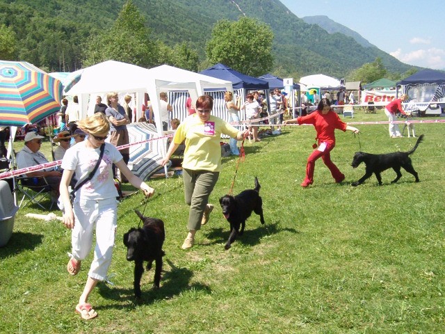 CAC Hrušica 2005 - foto