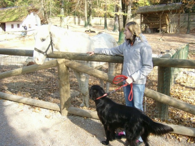 Obisk živalskega vrta - foto