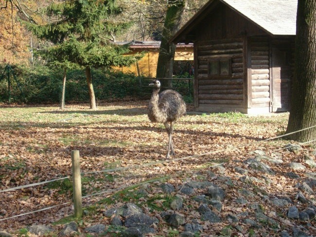 Obisk živalskega vrta - foto povečava