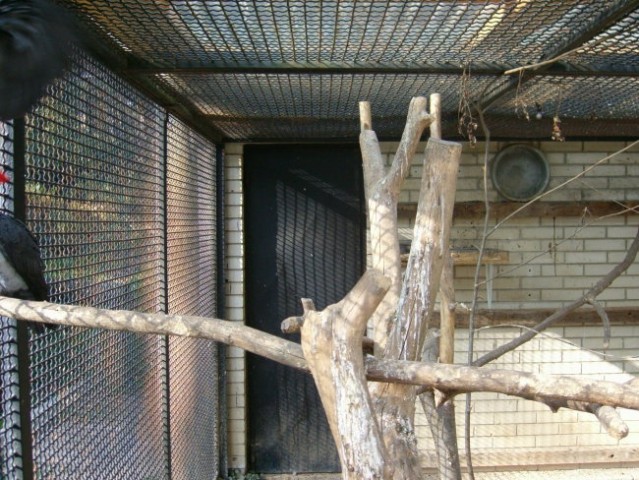 Obisk živalskega vrta - foto