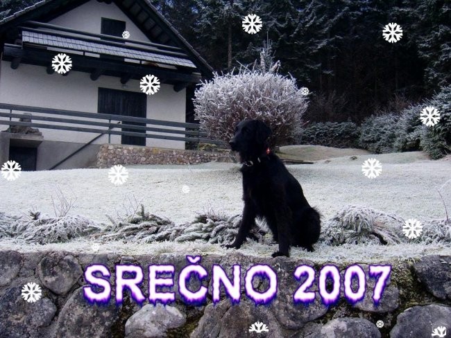SREČNO 2007 - foto povečava