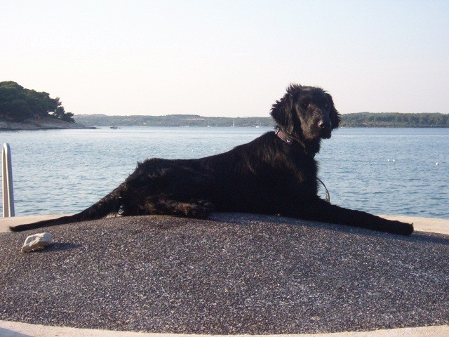 Morje- julij 2005 - foto