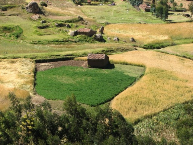 Polje Huarazom