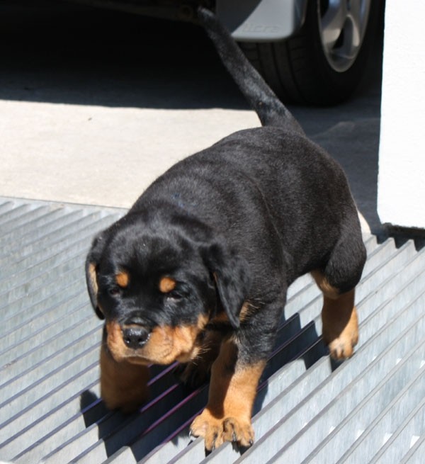 Vaith - foto povečava