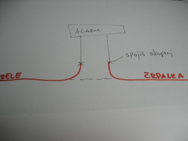 šara - foto povečava