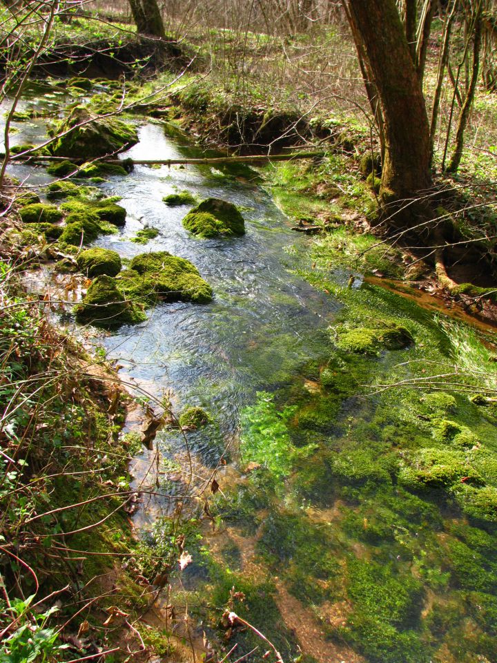 Oglejmo si Slovenijo - foto povečava