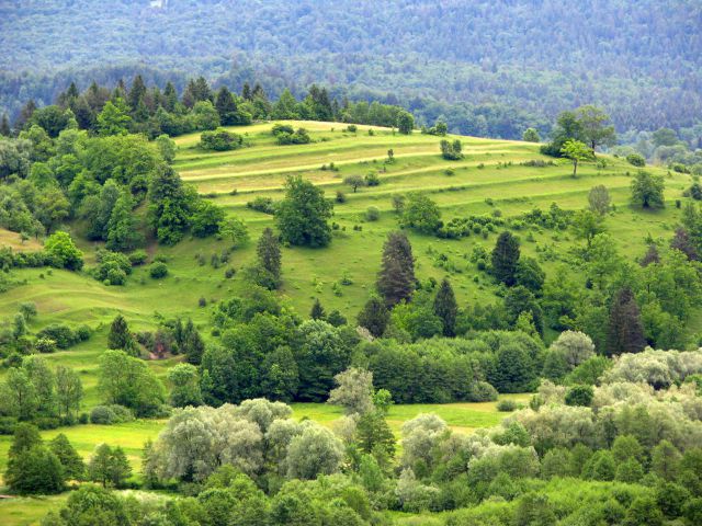 Oglejmo si Slovenijo - foto
