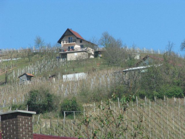 Oglejmo si Slovenijo - foto