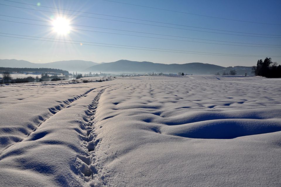 Blog fotke - foto povečava