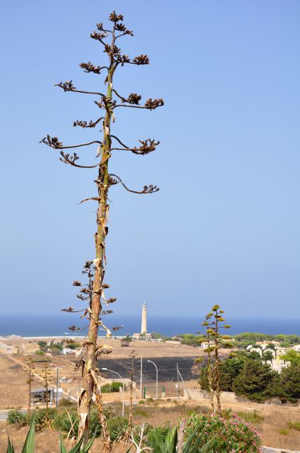 San Vito lo Capo, Sicilija - foto