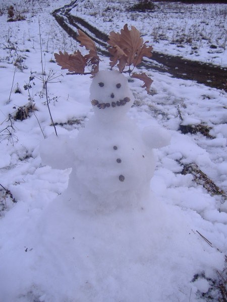Eno uro sem hodila v hrib, da sem lahko na jasi na Gorjancih naredila tega snežaka. Ampak 