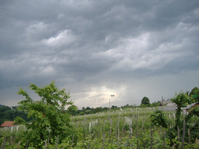 Narava - foto povečava