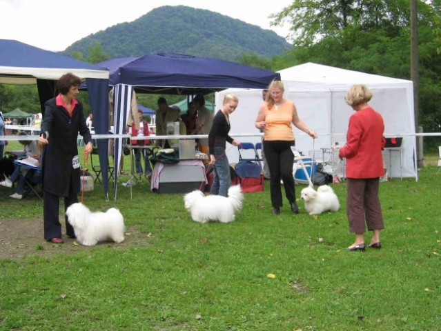 Trbovlje'06: izbor prvaka pasme