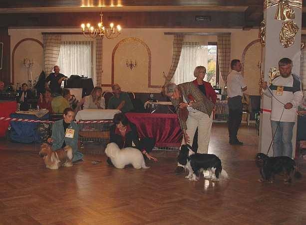 Altlengbach '06 - v izboru za najlepšega psa specialke avstrijskega kluba za pritlikave pa