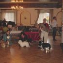 Altlengbach '06 - v izboru za najlepšega psa specialke avstrijskega kluba za pritlikave pa