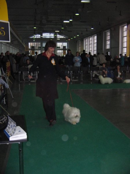 World dog show '06 Poznan