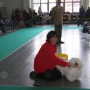 World dog show '06 Poznan - Cotonbrie Vercingetorige CACIB med psi