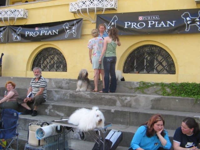 Budimpešta '07: čakajoč na BIS