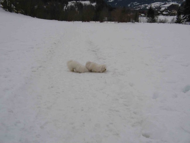 na smučanju: te packe sredi slike, to sva midva