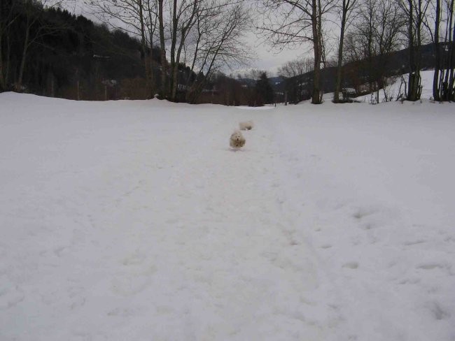 ko pokličejo, se hitro vrnem (Gi, seveda)