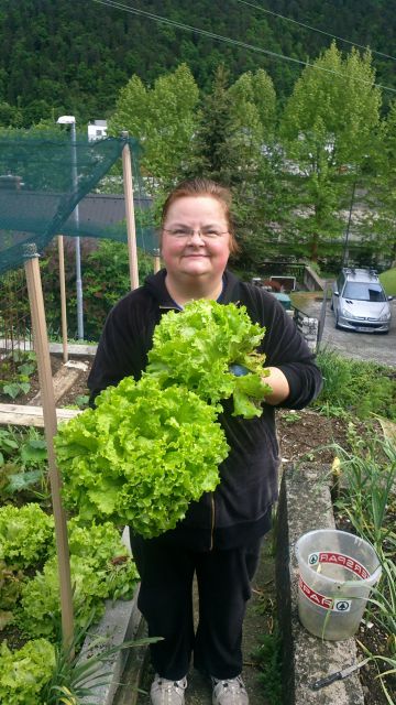 Jaz z letošnjo solato ja res maj 2013