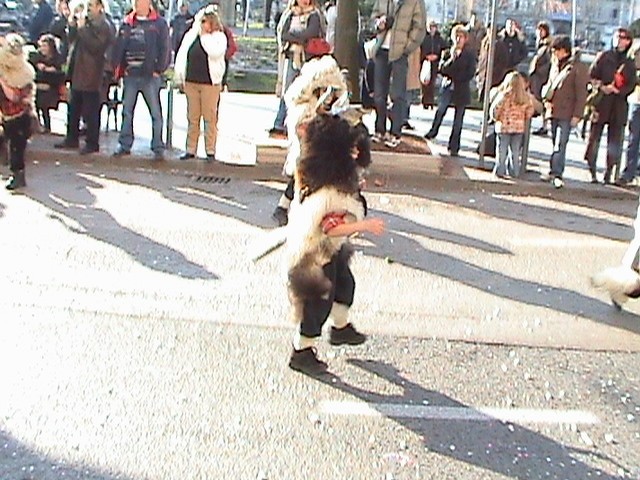 Karneval Rijeka 2007 - foto povečava