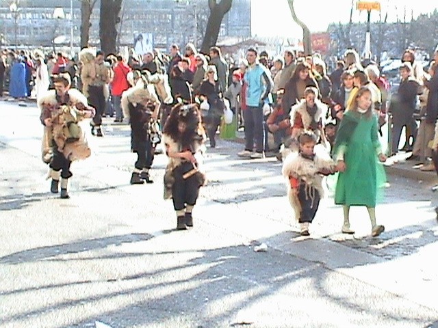 Karneval Rijeka 2007 - foto