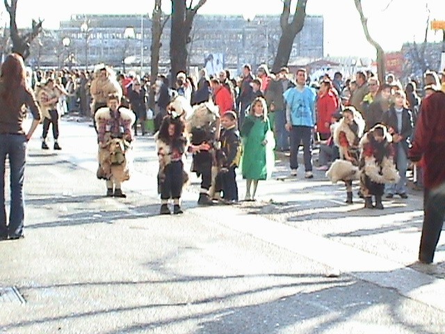 Karneval Rijeka 2007 - foto