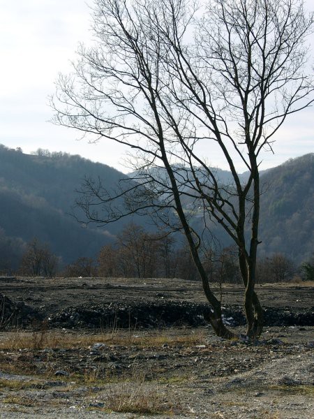 Trbovlje2005 - foto povečava