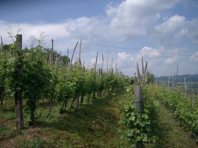 Dolenjska - foto povečava