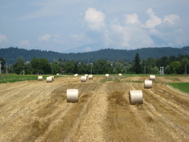 Košnja 2008 - foto povečava