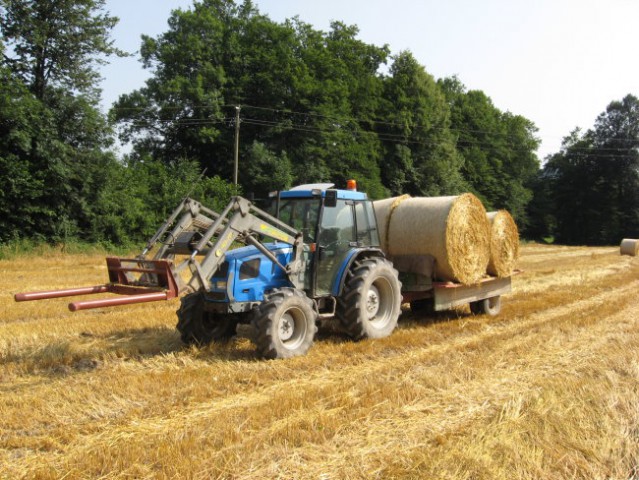 Žetev 2008 - foto