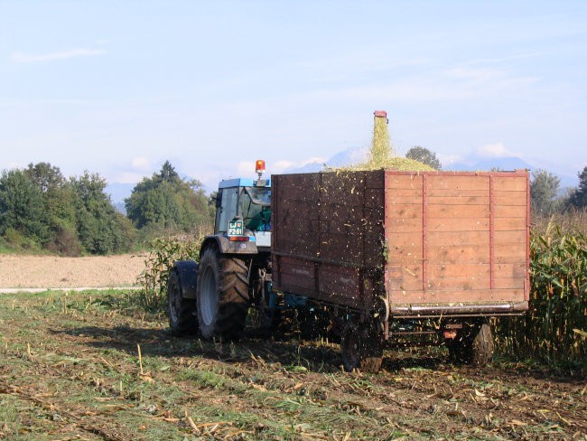 Siliranje 2006 - foto povečava