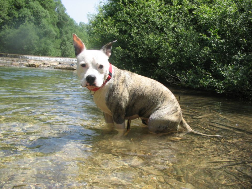 Simba&Klea - foto povečava