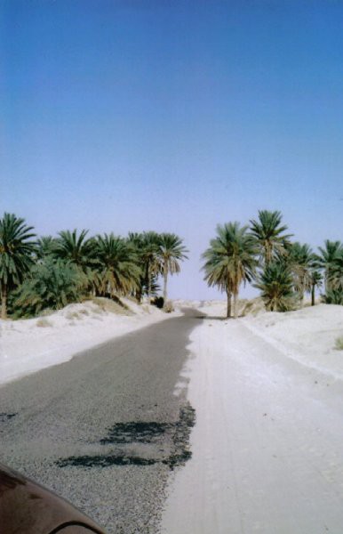 Tunizija - foto
