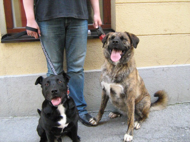 Minizooplaytime - foto