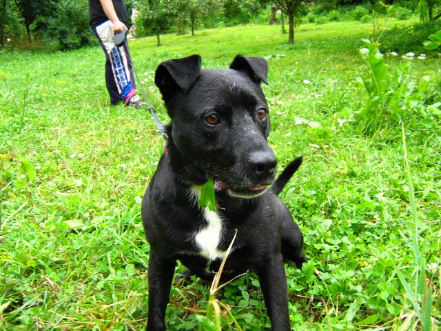 Paxx rojstni dan - foto povečava