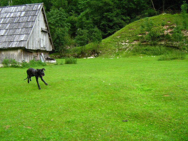 SOČAAA - foto povečava