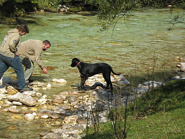 Pri Ani - foto povečava