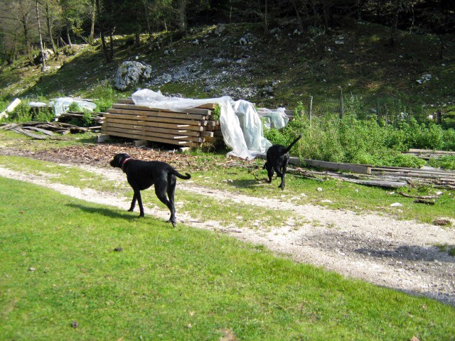 Pri Ani - foto povečava